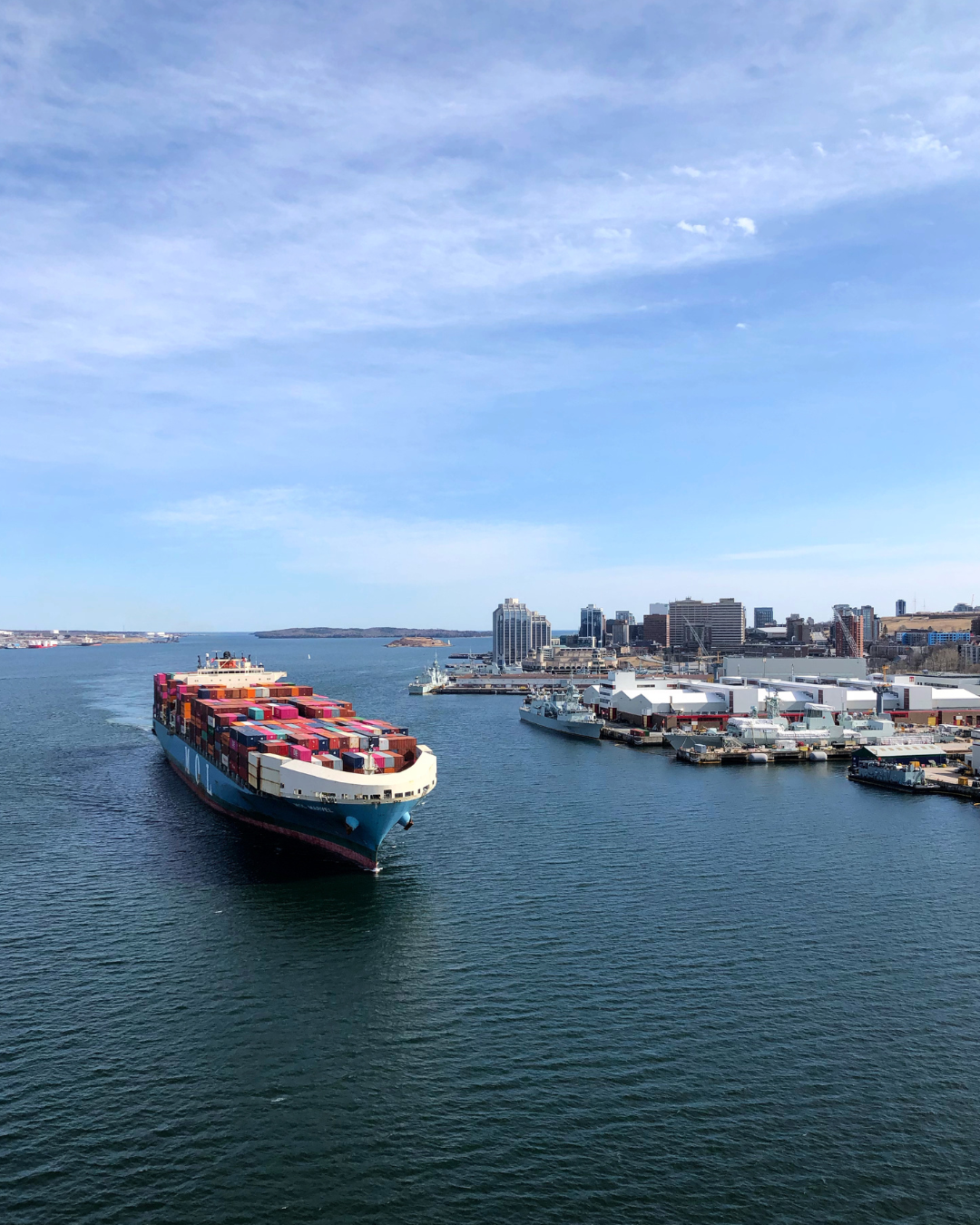 Blue, Yellow and Pink Shapes Pets Influencer YouTube Thumbnail Set (950 x 580 px) (950 x 580 px) (1080 x 1350 px) (2000 x 2000 px) (2)